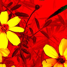 手机攻击器APP下载